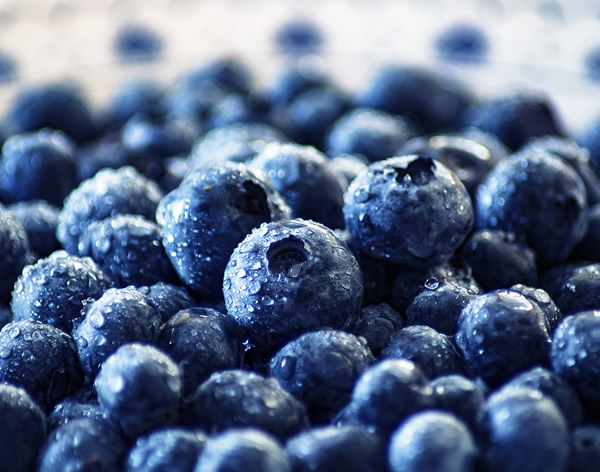 冷凍藍莓，一個被嚴重低估的產品